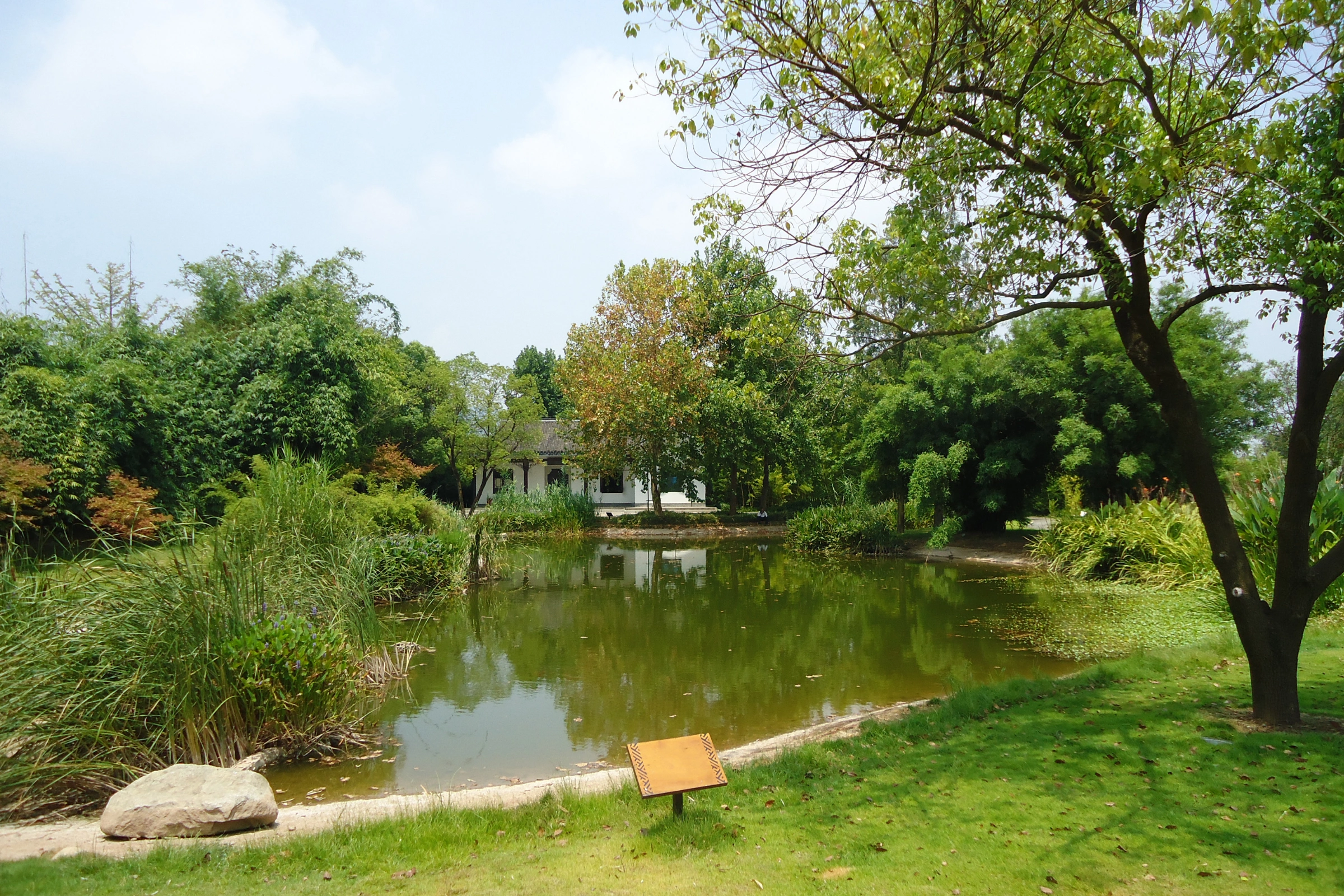 Changsha[1].webp